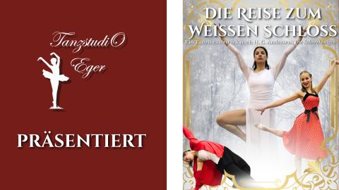 Flyer zur Veranstaltung (Quelle: TanzstudiO Eger)